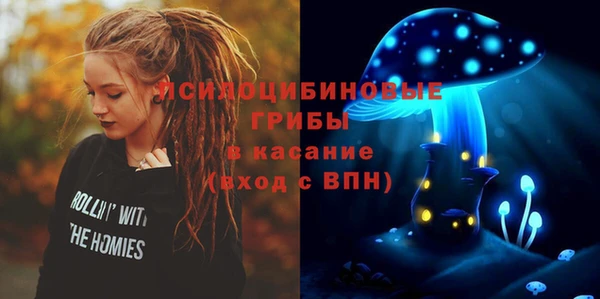 мдпв Абинск