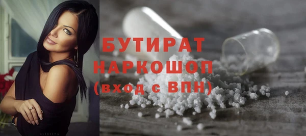 индика Осташков