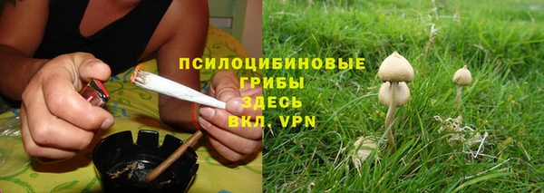 каннабис Алзамай