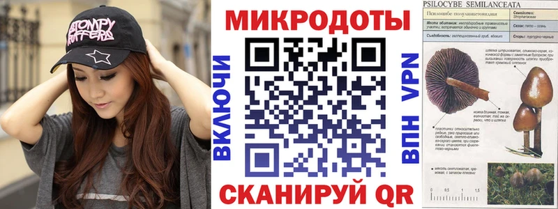Псилоцибиновые грибы ЛСД где купить наркоту Магадан
